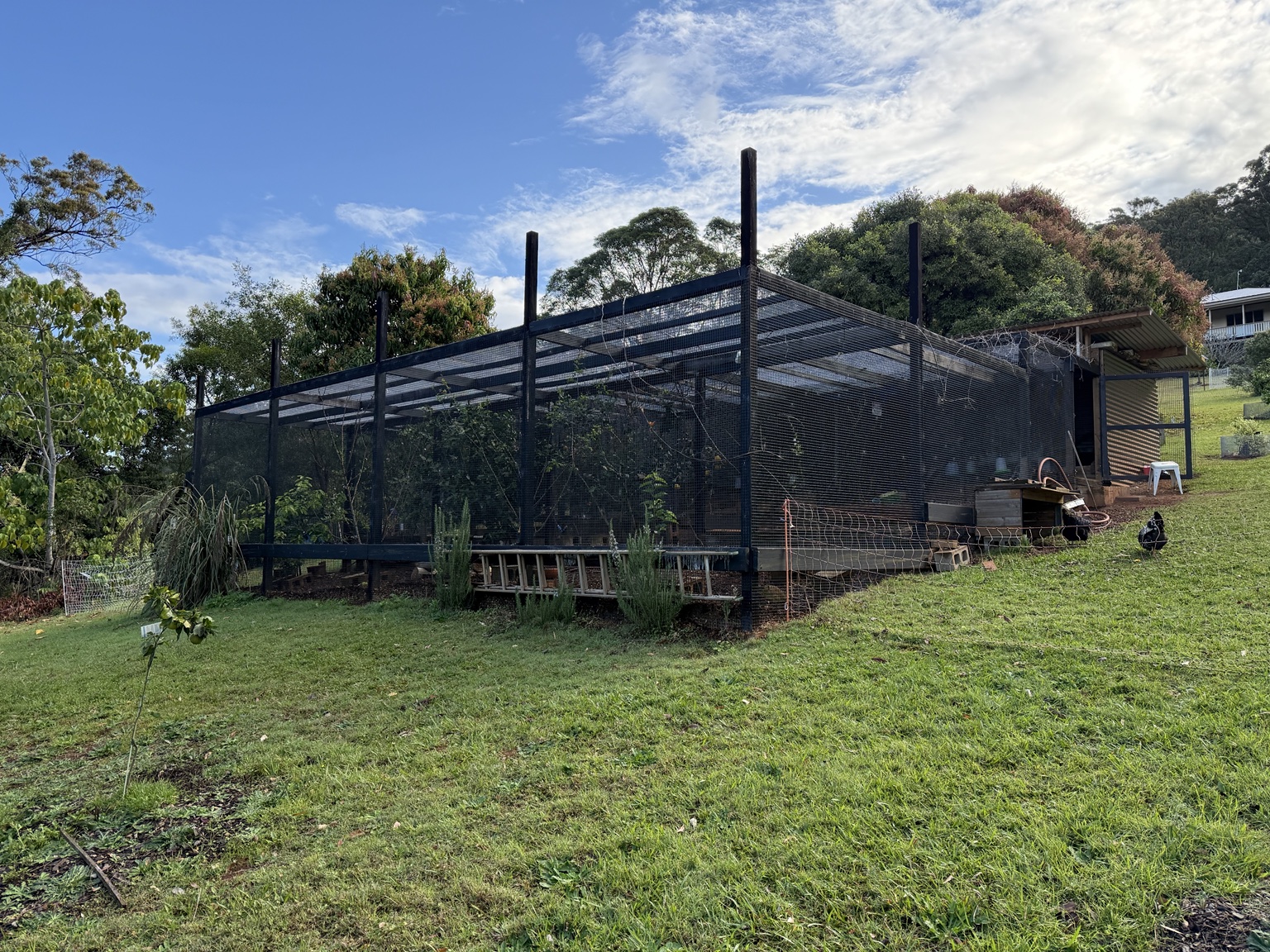 Our expanded mesh-covered poultry enclosure and adjoining coop on the grassy hillside